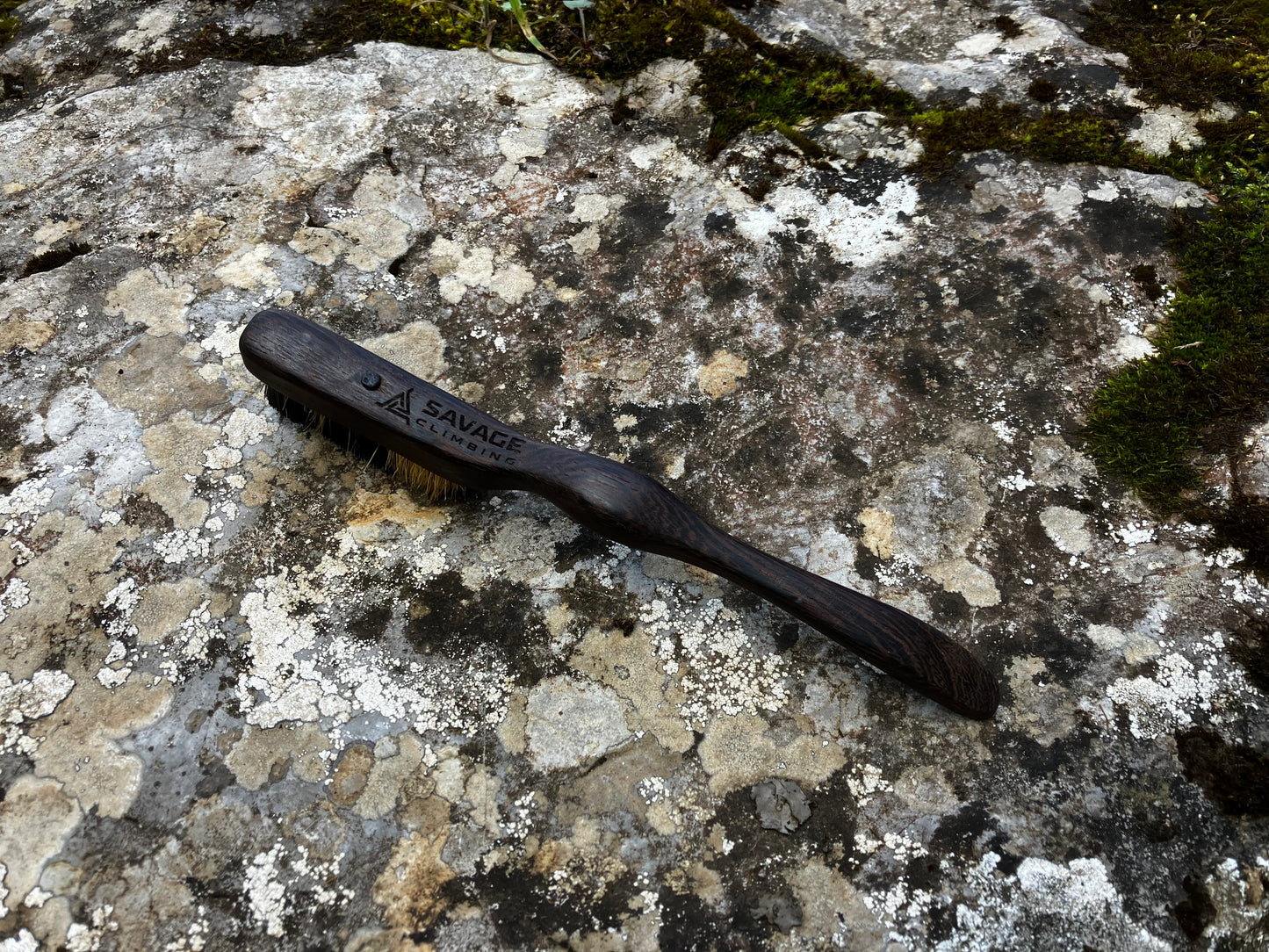 Ammonite climbing brush with replaceable hair-Size S Wenge
