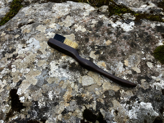 Ammonite climbing brush with replaceable hair-Size S Wenge