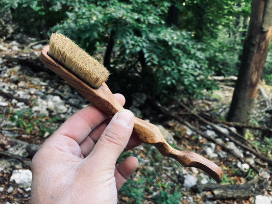 Ents climbing brush with replaceable bristles -Size S Iroko