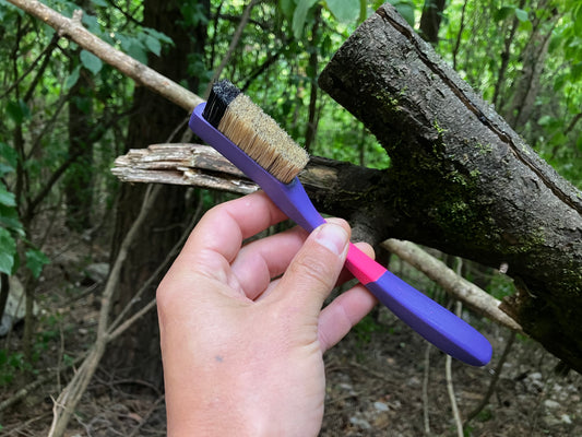 Apprentice Painted climbing brush