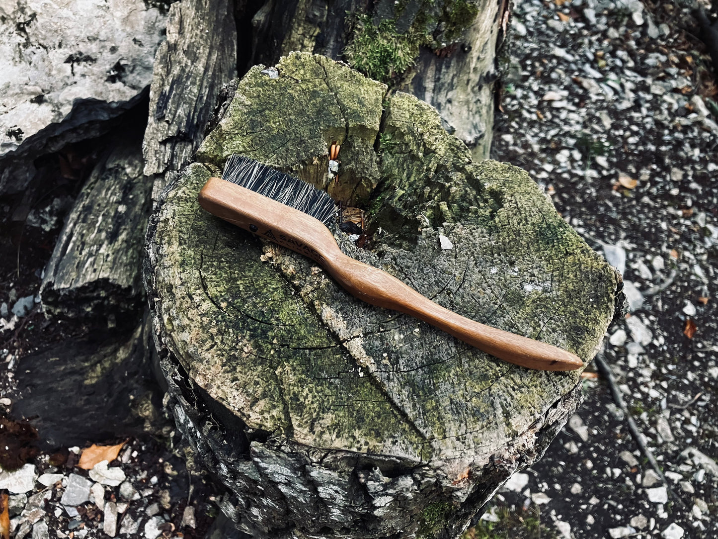 Ammonite (walnut wood) climbing brush with replaceable hair-Size S