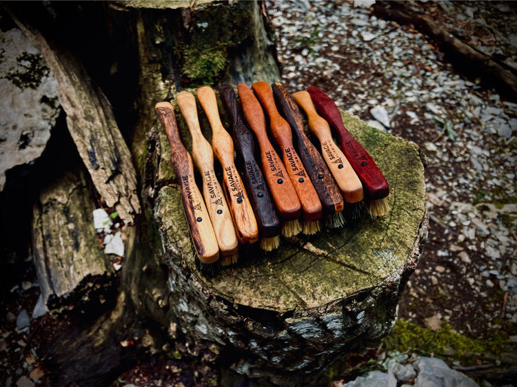 Climbing brushes