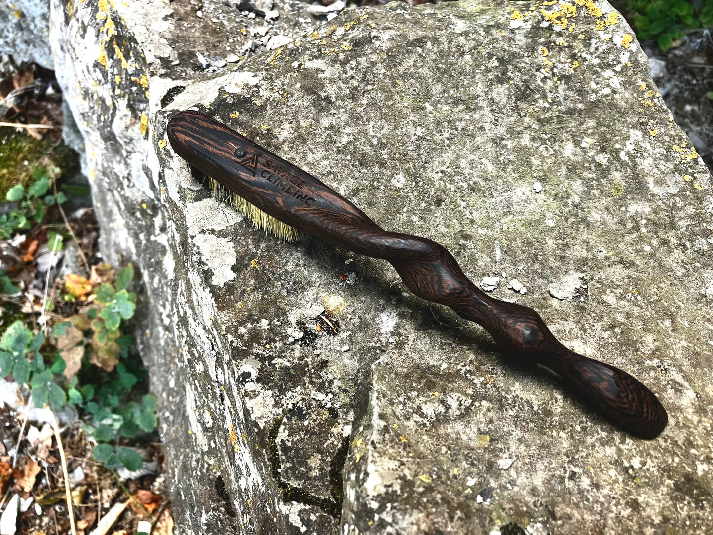 Ents  climbing brush with replaceable bristles -Size S Wenge