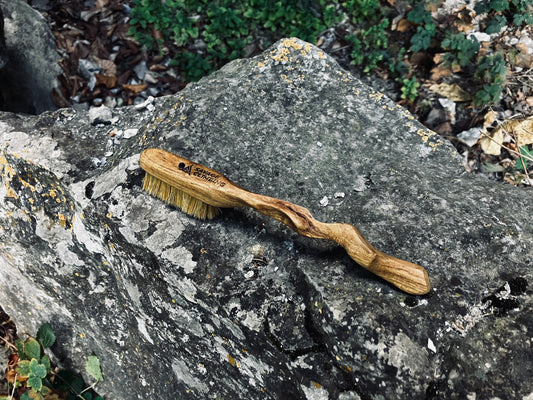 Ents  climbing brush with replaceable bristles -Size S Sophora