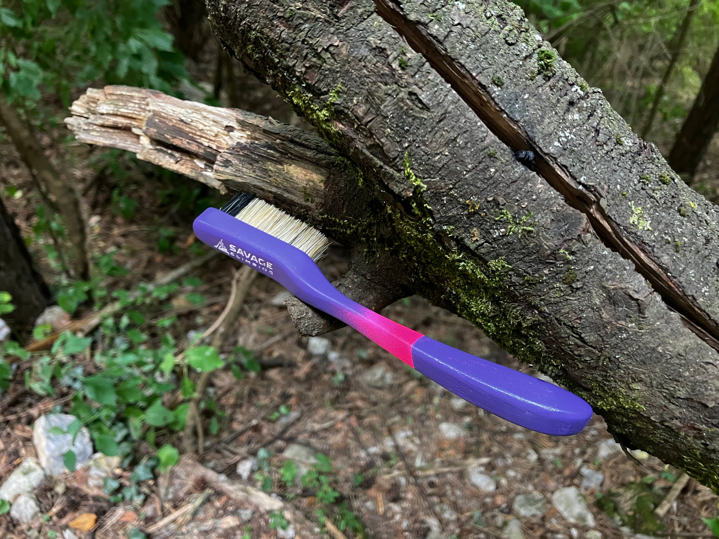 Apprentice Painted climbing brush