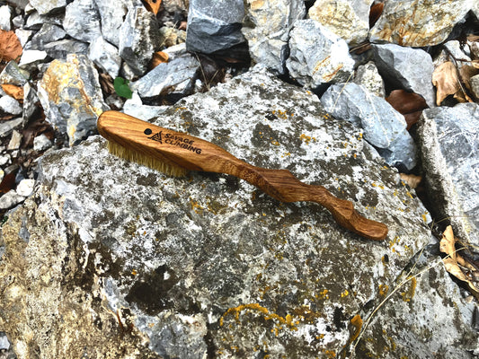 Ents  climbing brush with replaceable bristles -Size S Iroko