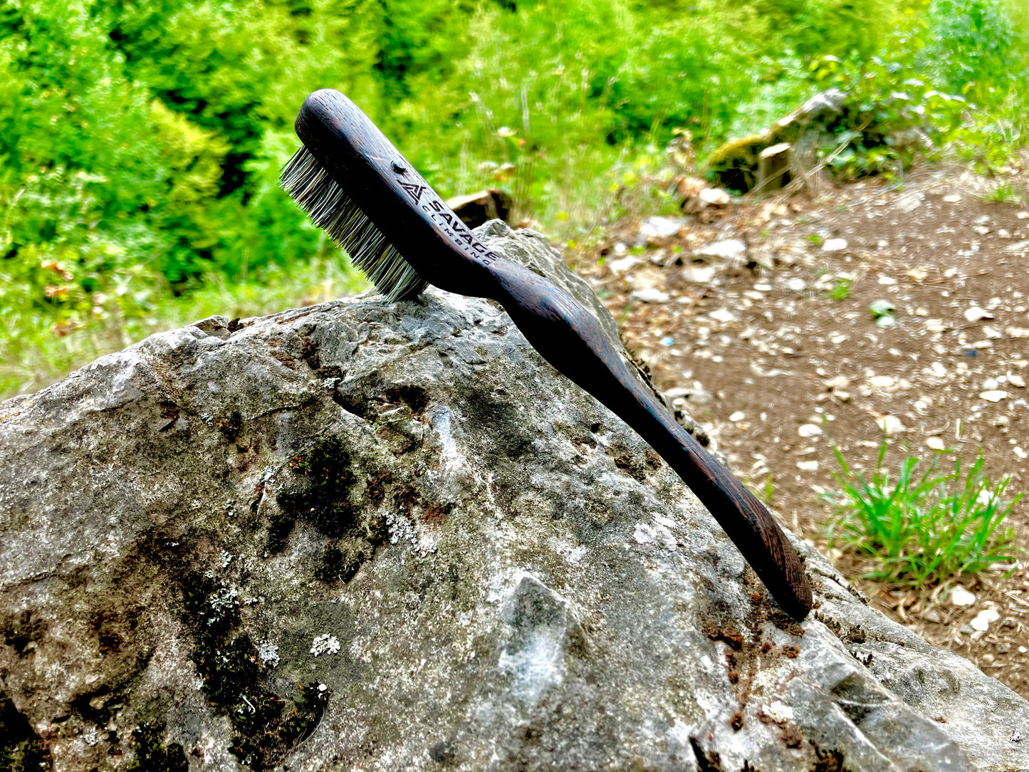Ammonite climbing brush with replaceable hair-Size S (wenge wood)