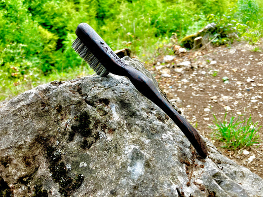 Ammonite climbing brush with replaceable hair-Size S (wenge wood)