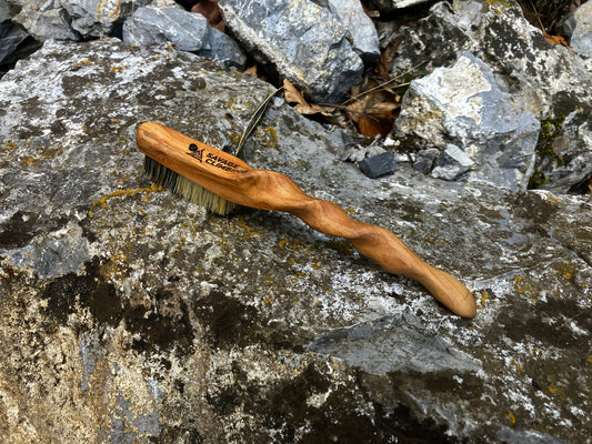 Ents  climbing brush with replaceable bristles -Size S Cherry