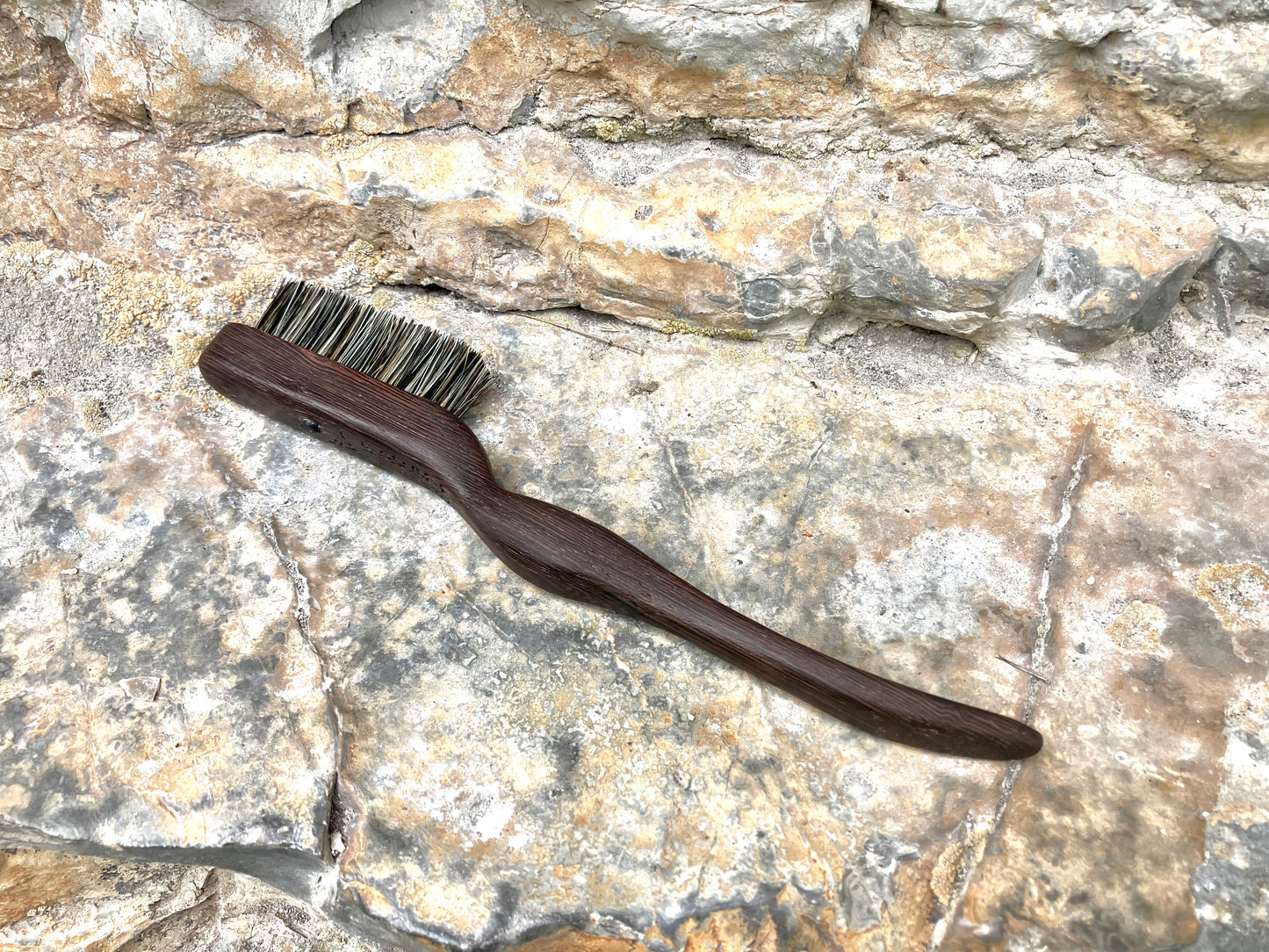 Ammonite climbing brush with replaceable hair-Size S (wenge wood)