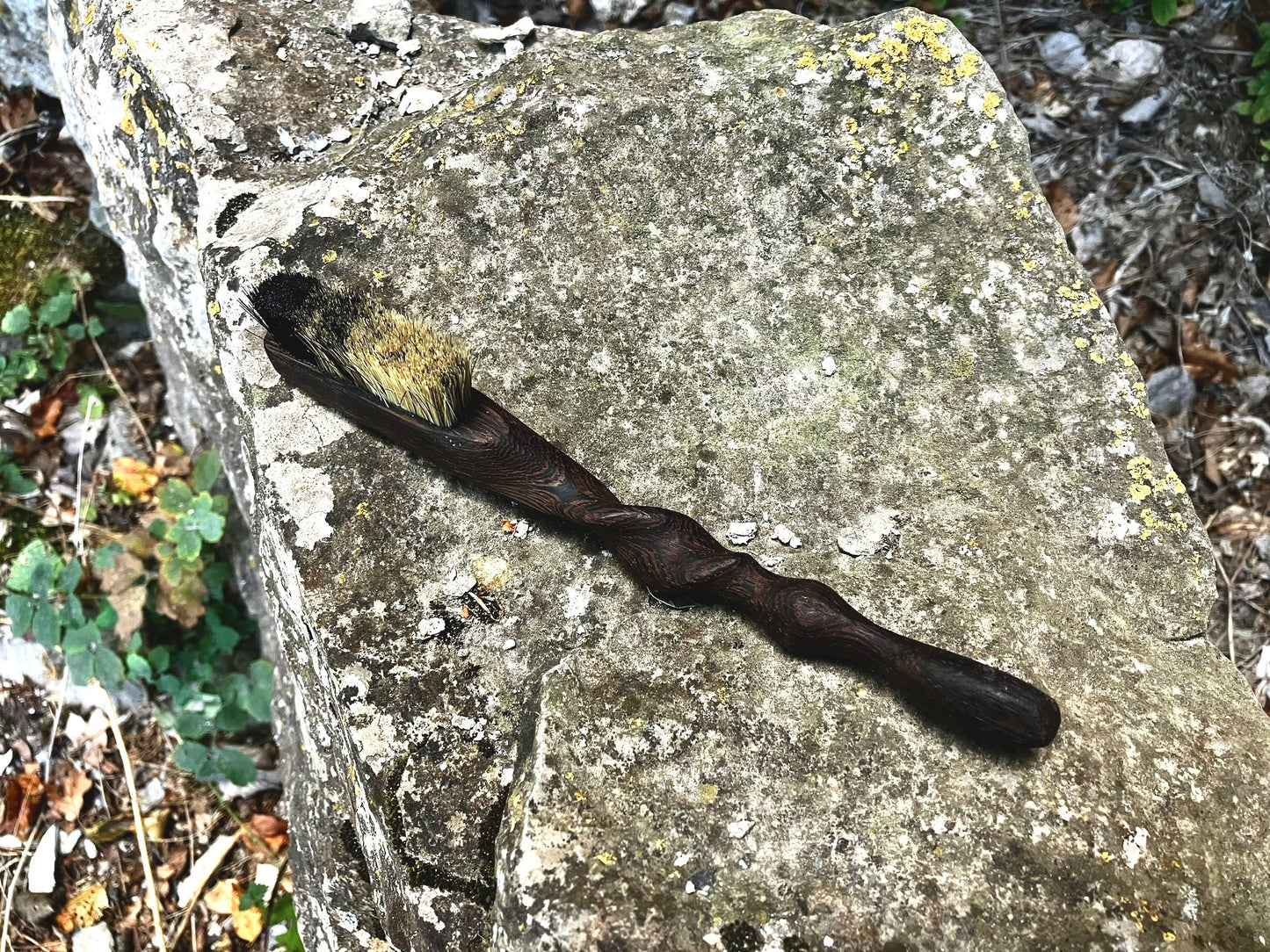 Ents  climbing brush with replaceable bristles -Size S Wenge