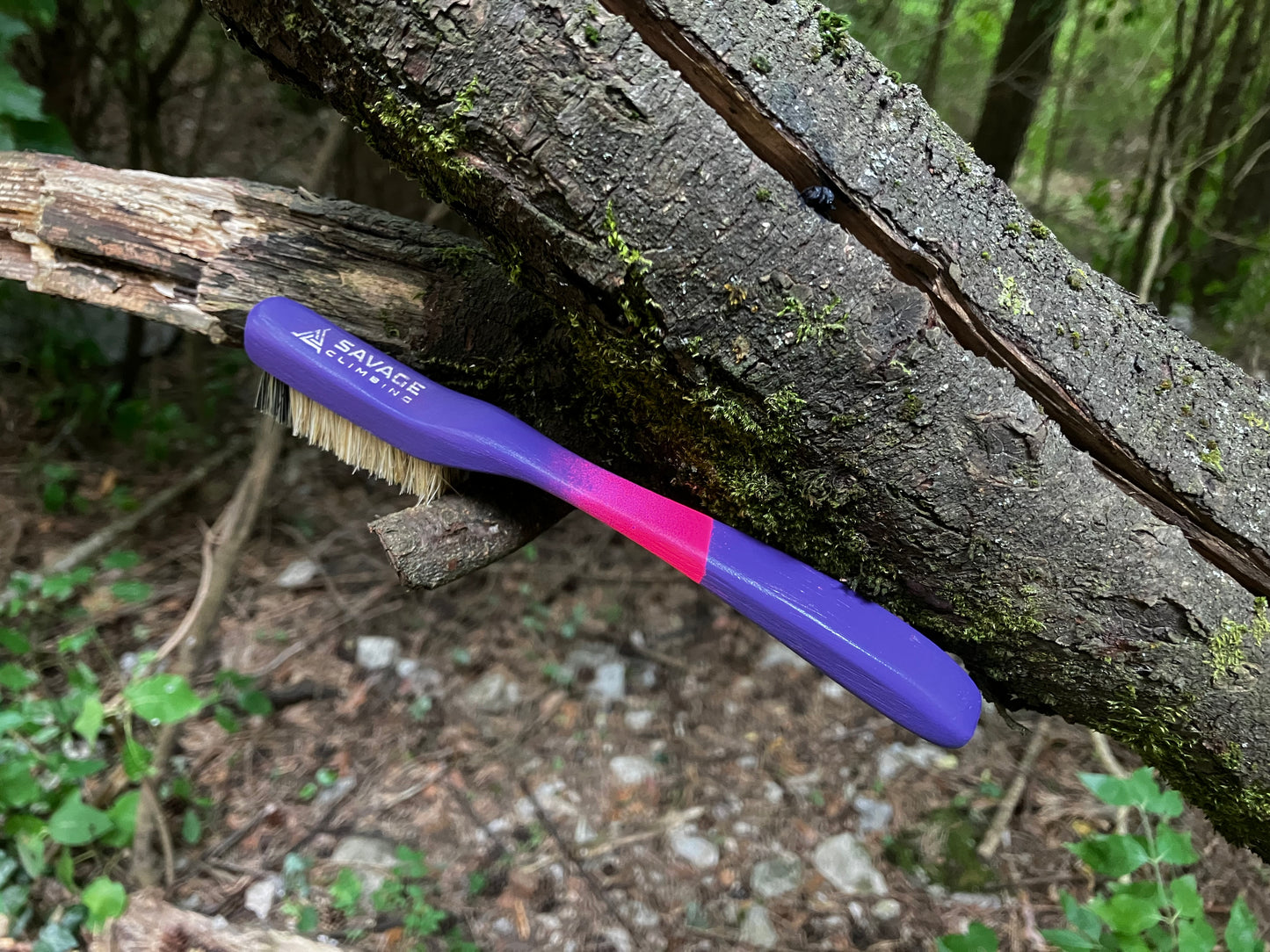 Apprentice Painted climbing brush