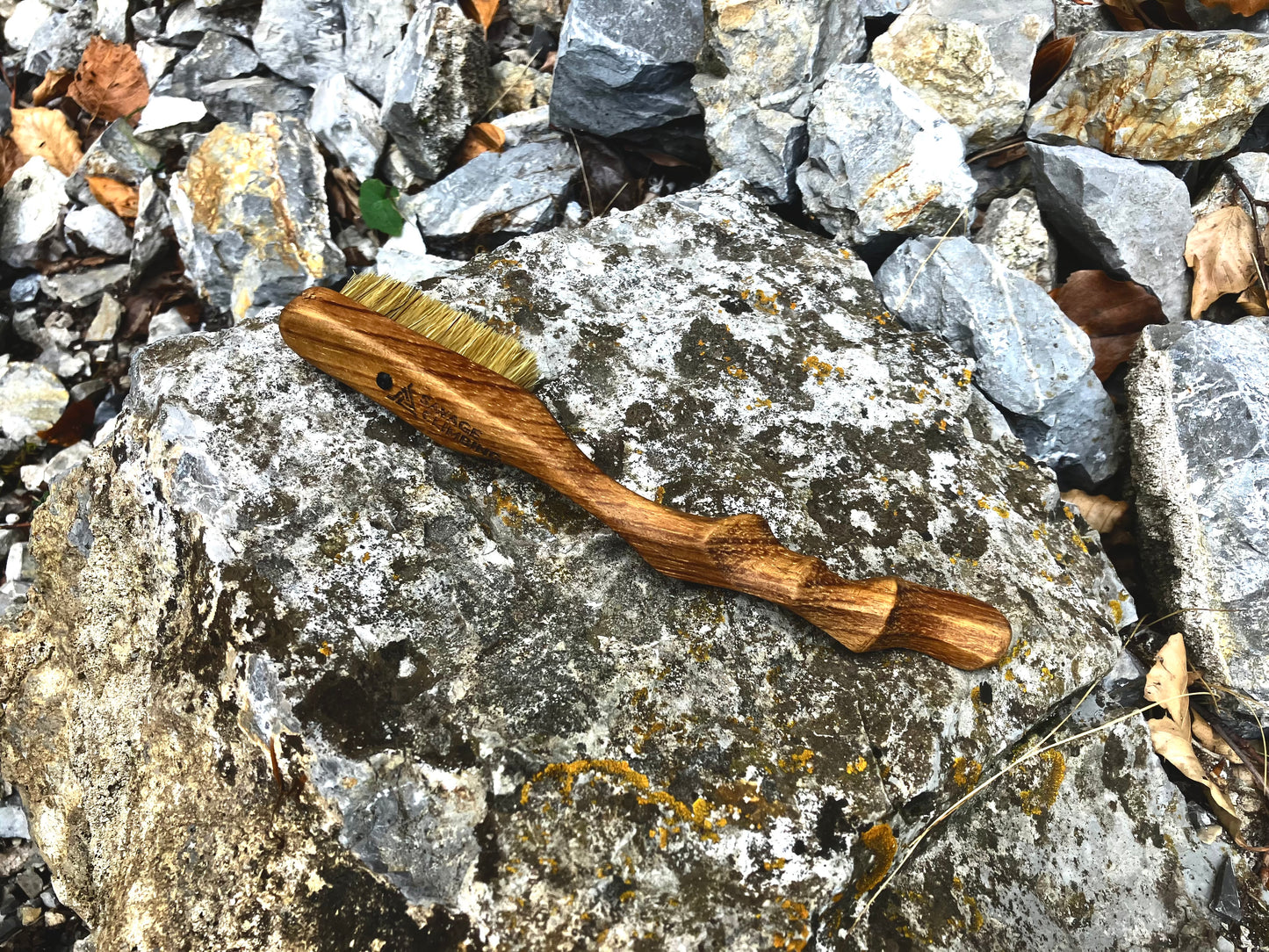Ents  climbing brush with replaceable bristles -Size S Iroko