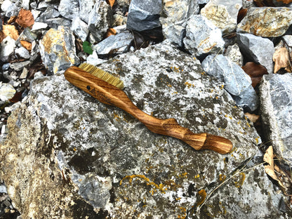 Ents  climbing brush with replaceable bristles -Size S Iroko