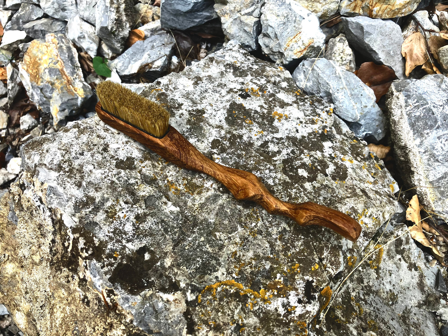 Ents  climbing brush with replaceable bristles -Size S Iroko