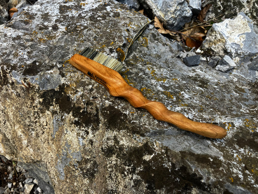 Ents  climbing brush with replaceable bristles -Size S Cherry