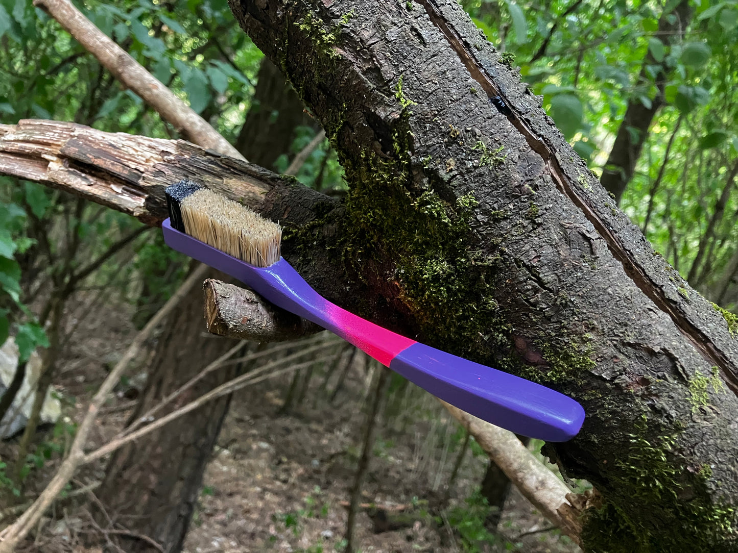 Apprentice Painted climbing brush