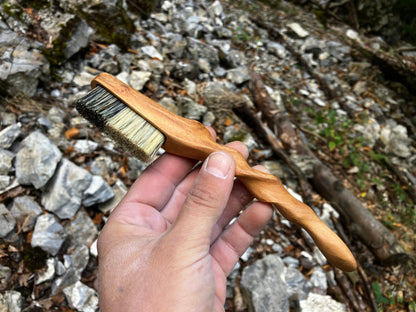 Ents  climbing brush with replaceable bristles -Size S Cherry